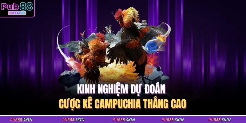 Đá Gà Campuchia – Sân Chơi Truyền Thống Cá Cược Sôi Động 3 Kinh nghiệm dự đoán cược kê Campuchia thắng cao