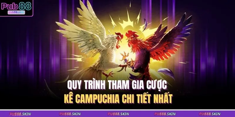Đá Gà Campuchia – Sân Chơi Truyền Thống Cá Cược Sôi Động 2 Quy trình tham gia cược kê Campuchia chi tiết nhất
